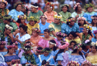 Cook Islands ID 102789 copy.jpg
